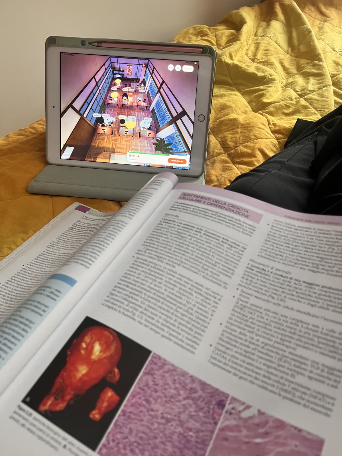 Livello di disperazione: (mi sono scaricata un’app dove ci sono dei personaggini che studiano tutti insieme, altrimenti non studio)