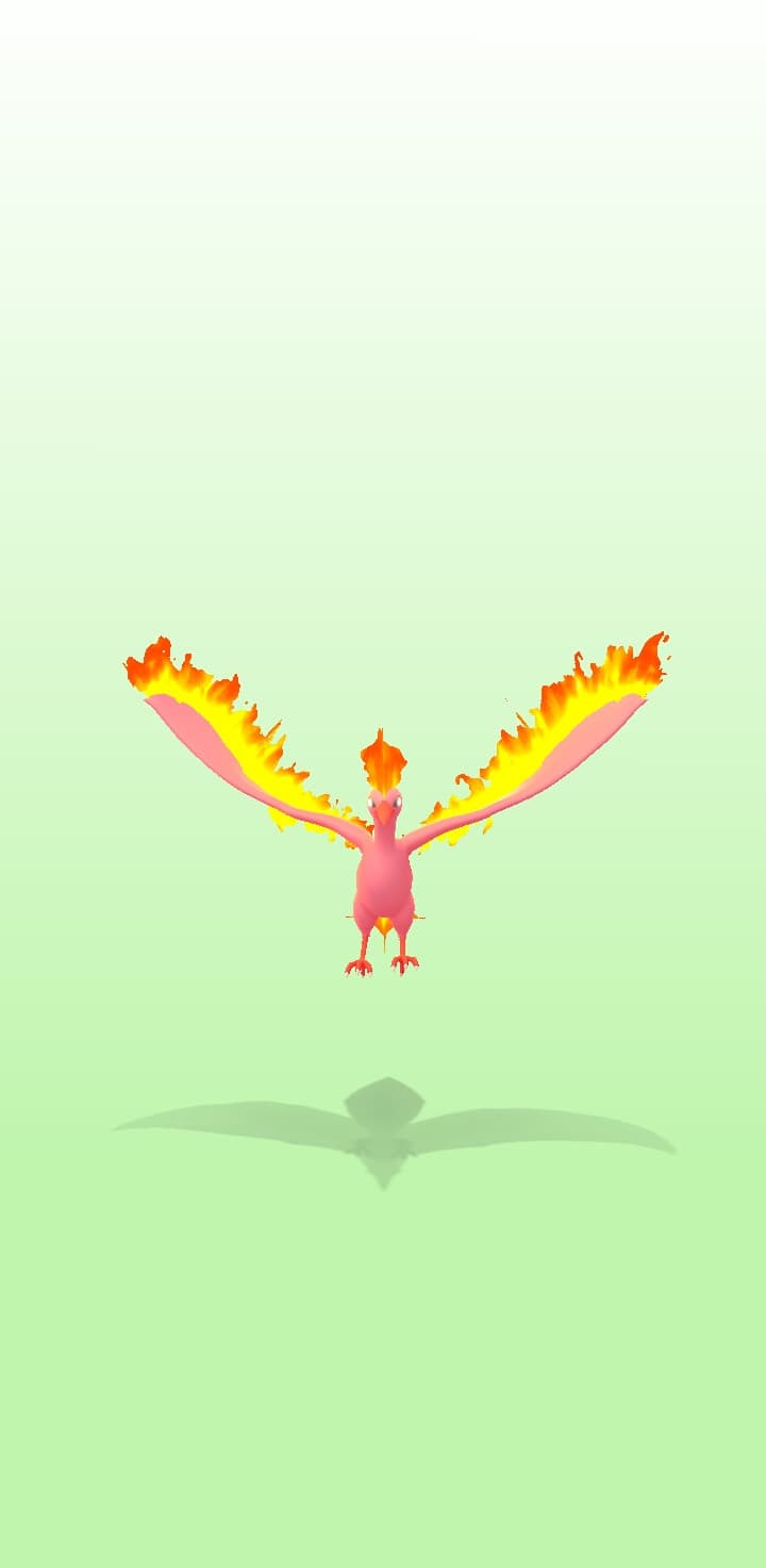tu hai moltres shiny coglione? no? beh stupido idiota io si, come la mettiamo?