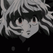 Neferpitou :3