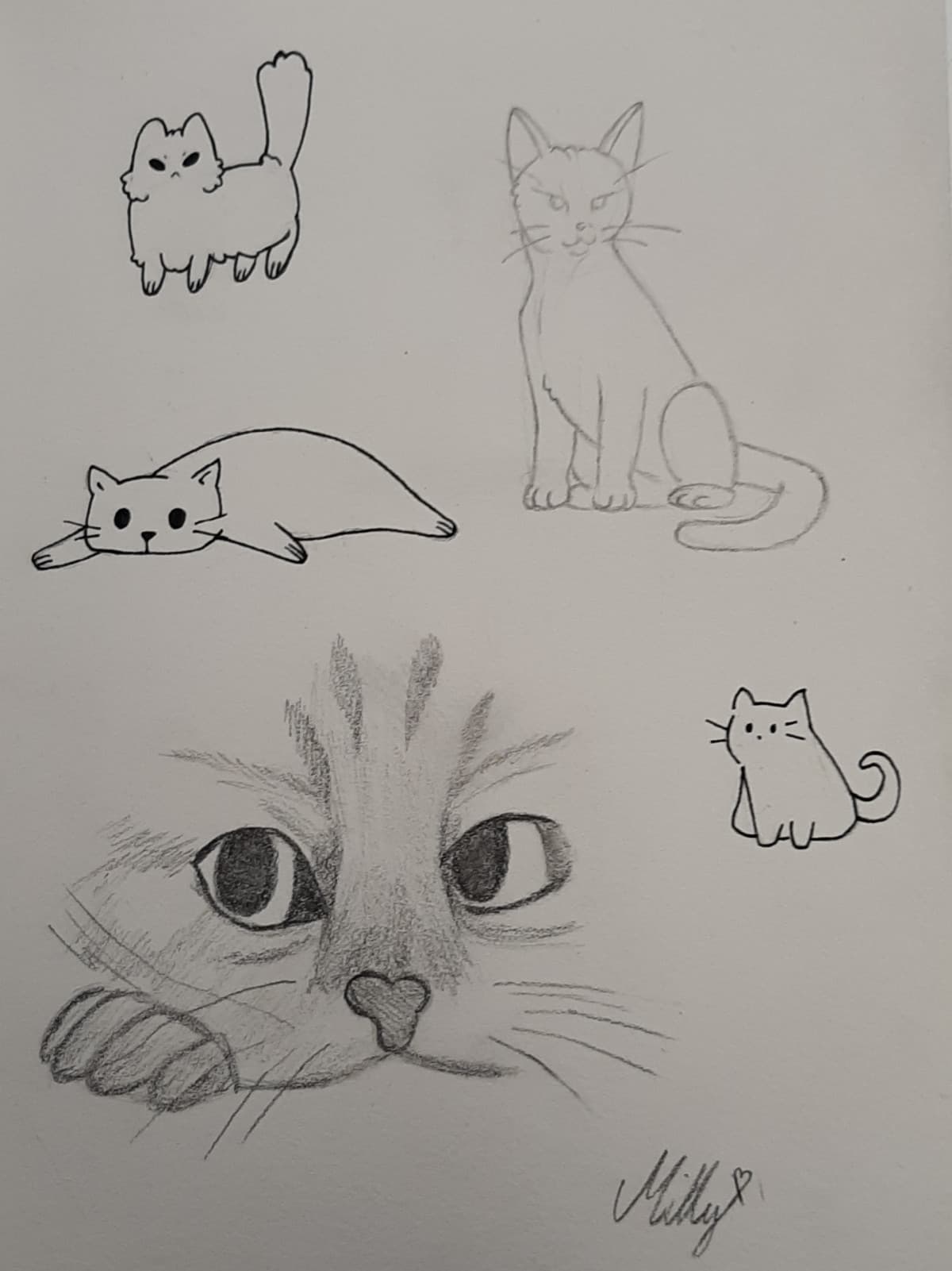 Disegno di gatti smonchi fatto durante l'ora di storia dell'arte di ieri 