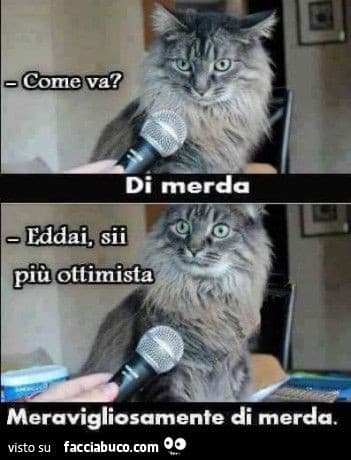 Quasi tutti noi insegretini : 