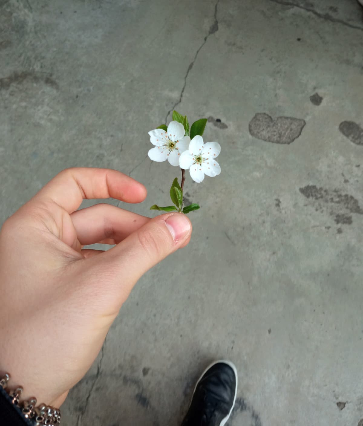 tra 3 giorni è primavera 