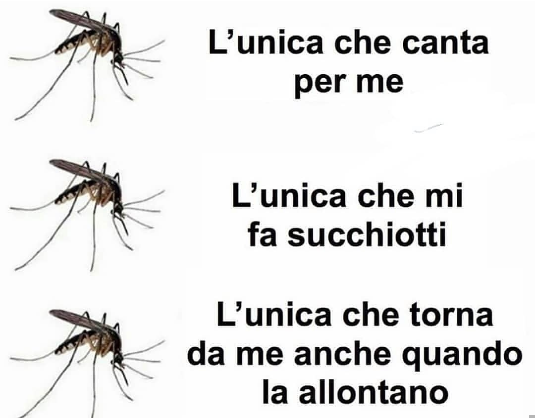 Anche se pungono