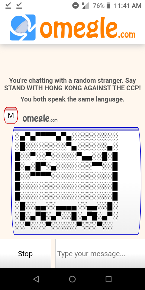 Io che faccio pixel art su Omegle:???