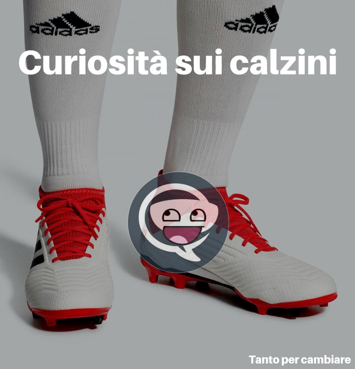 Curiosità sui calzini 