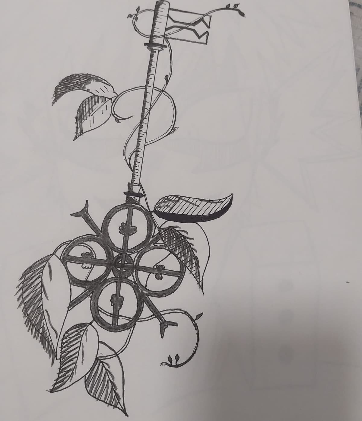 Mi sento un po’ in colpa