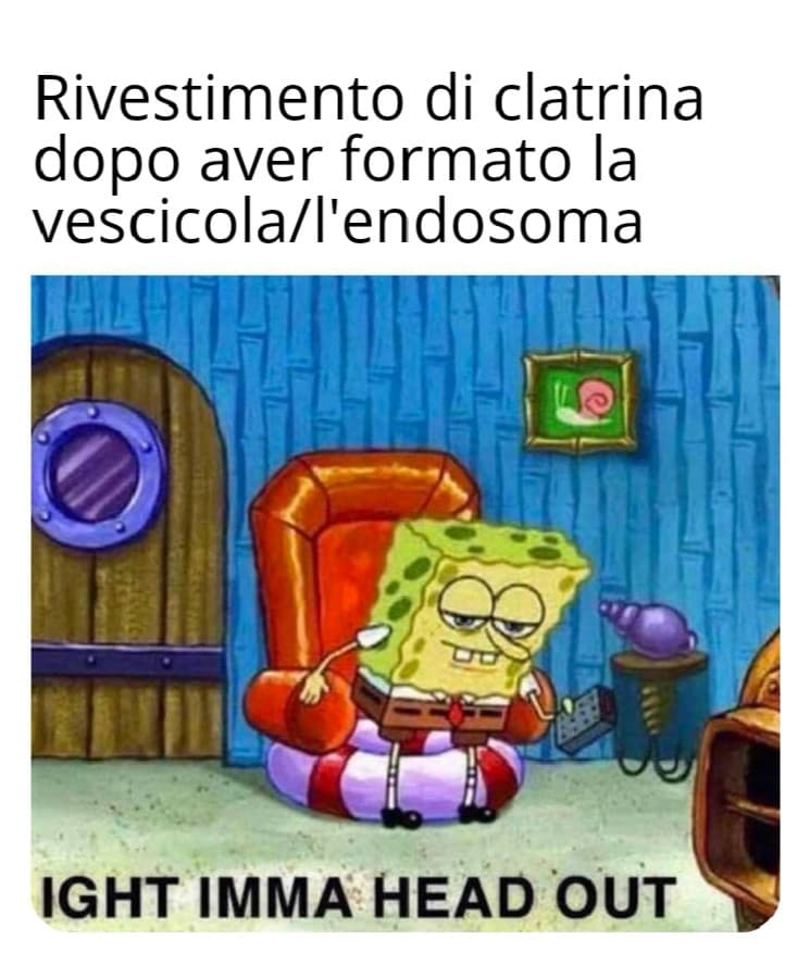 Continuo a fare meme che non capirà nessuno perché sì