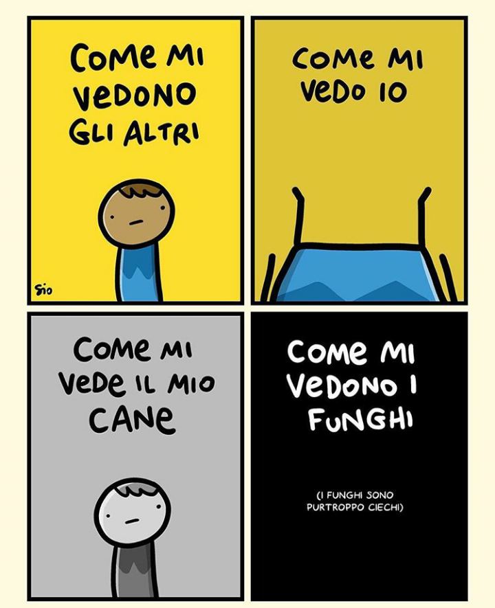  Poveri Funghi 