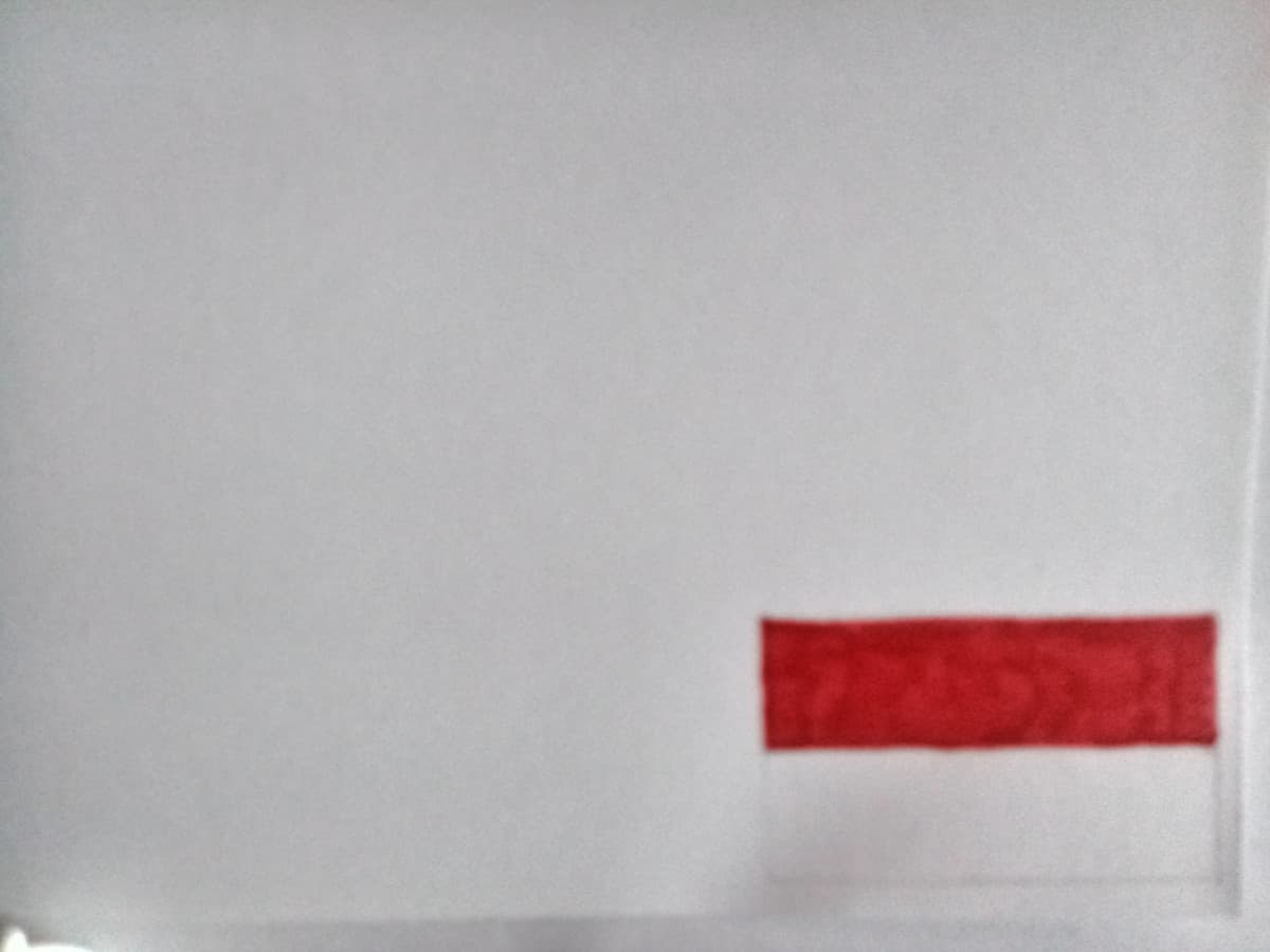 Bandiera della Polonia