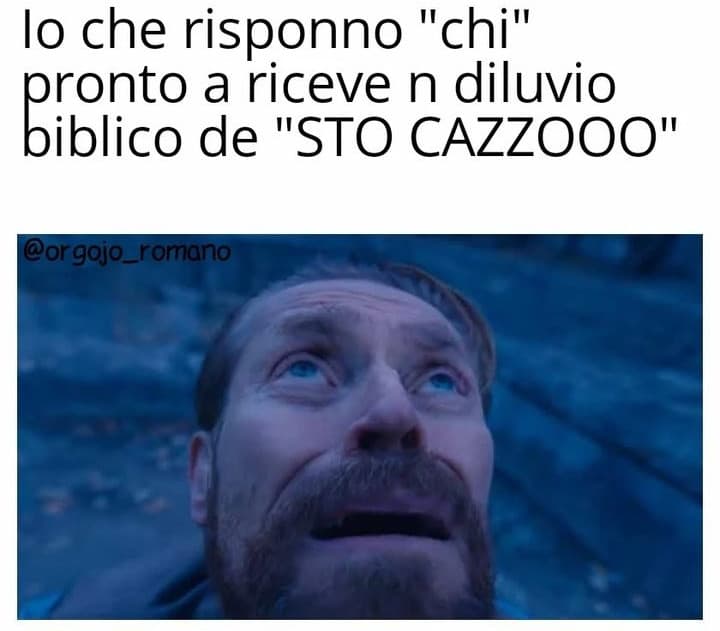 stocazzo