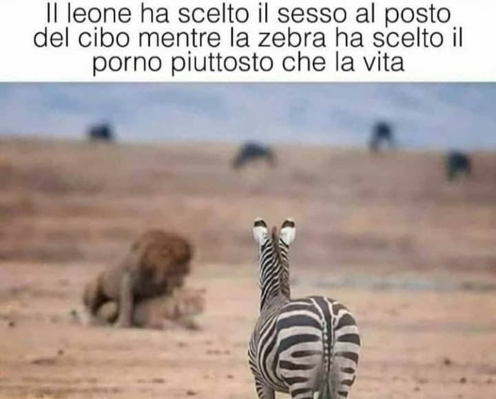 Una scelta giusta?