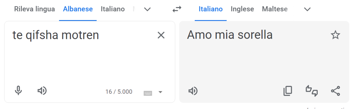 mai fidarsi di google translate