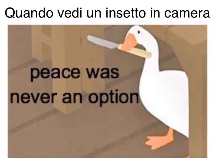 Questo template è la vita 