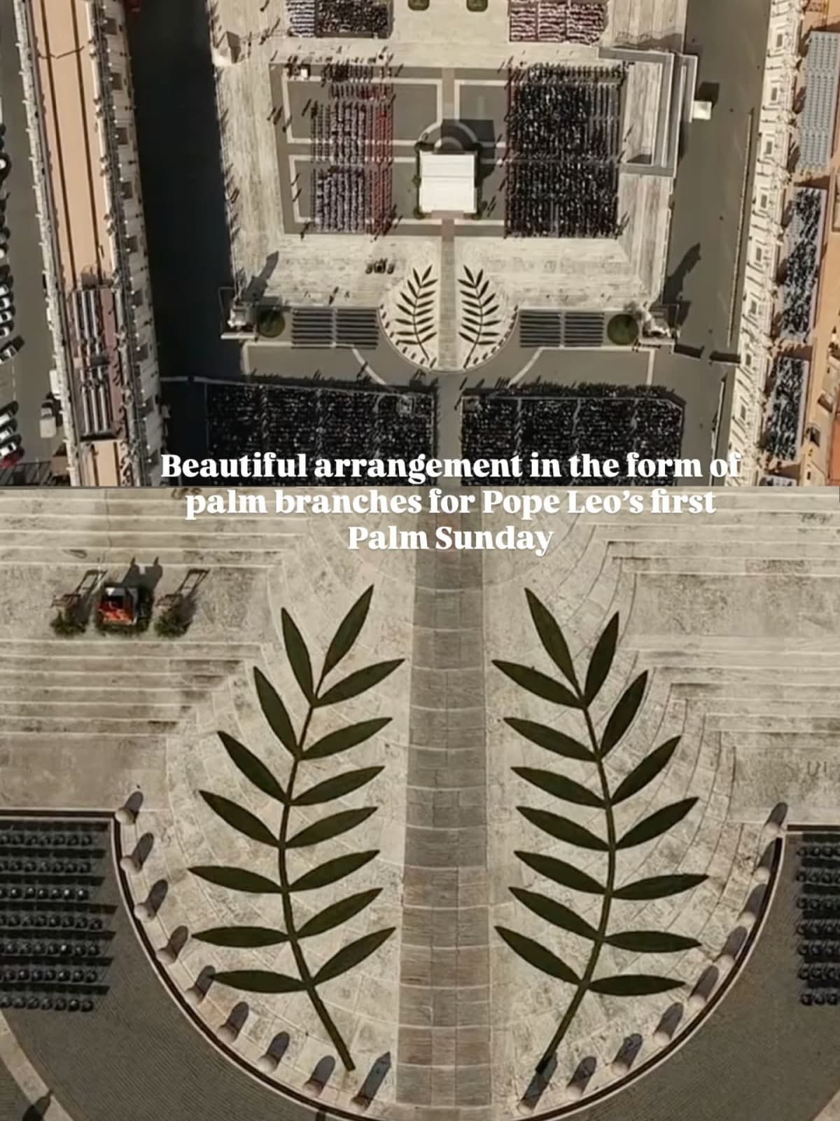 Oggi con la solenne Dominica in Palmis de Passione Domini inizia la Settimana Santa ( o di Passione)