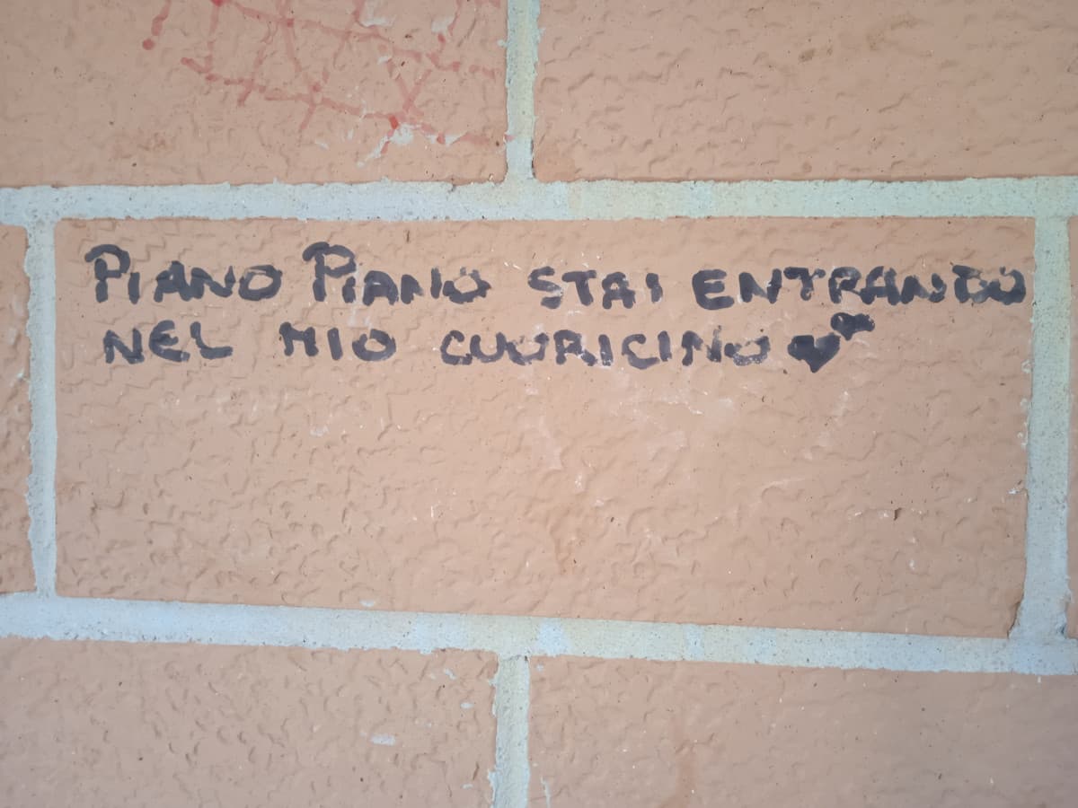 MA DITEMI SE È NORMALE CHE (descrizione)