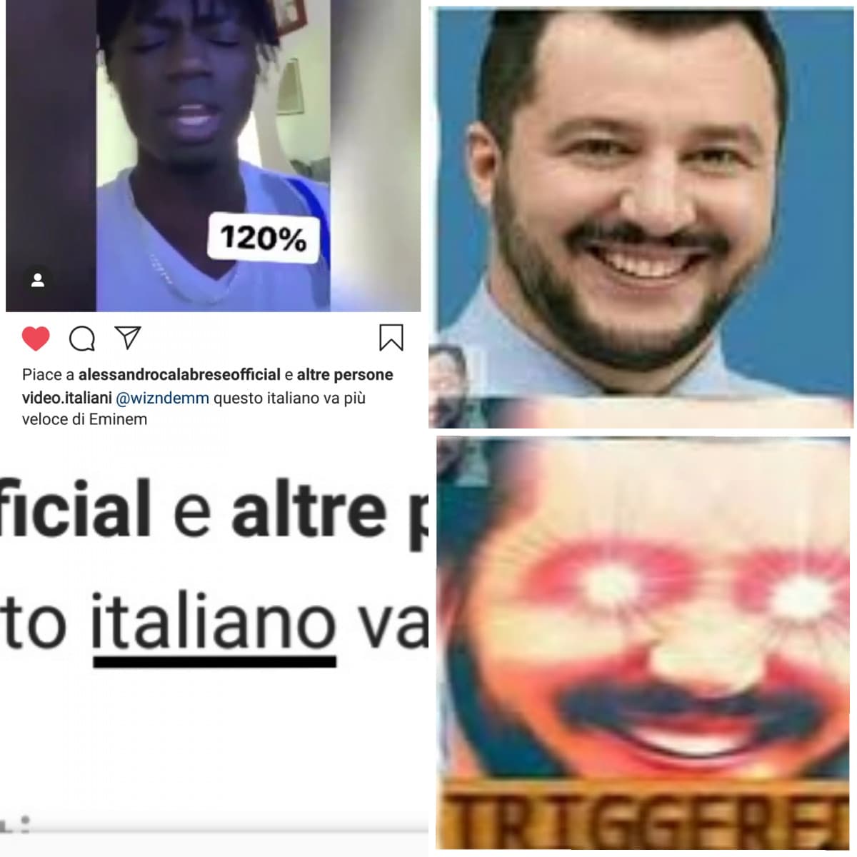 Salvini triggered