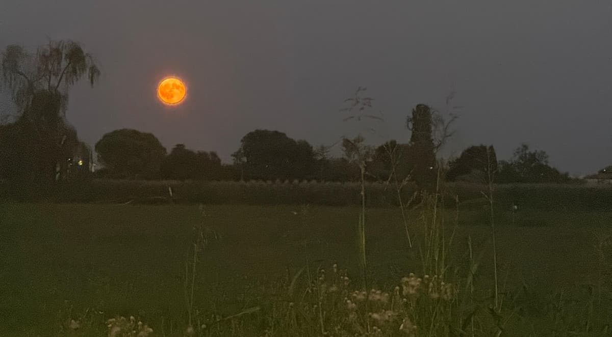 La luna di ieri sera😍
Per una volta che riesco a fare la foto alla luna con il mio telefono 