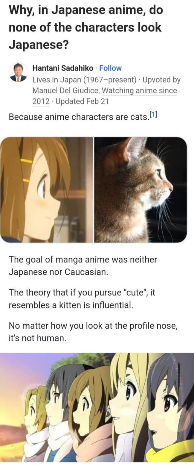 lo sapevate che i personaggi degli anime hanno un aspetto simile a dei gatti? 