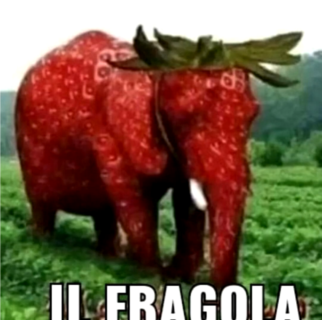 il fragola