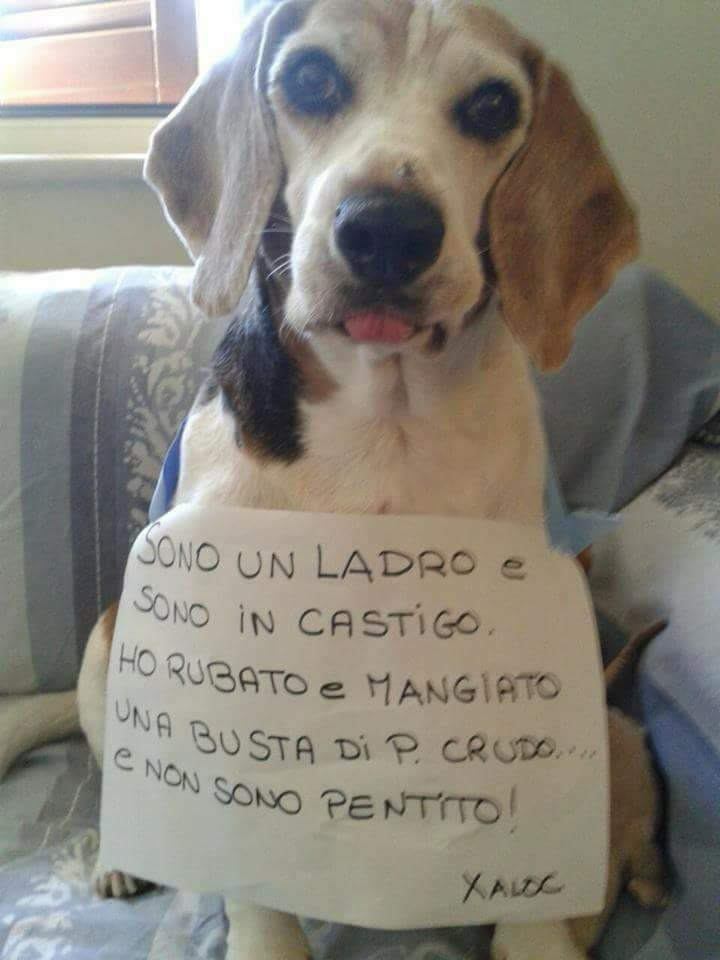 Ma amore .... ??????