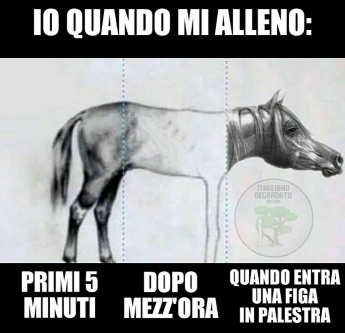 Sempre...... Sempre 