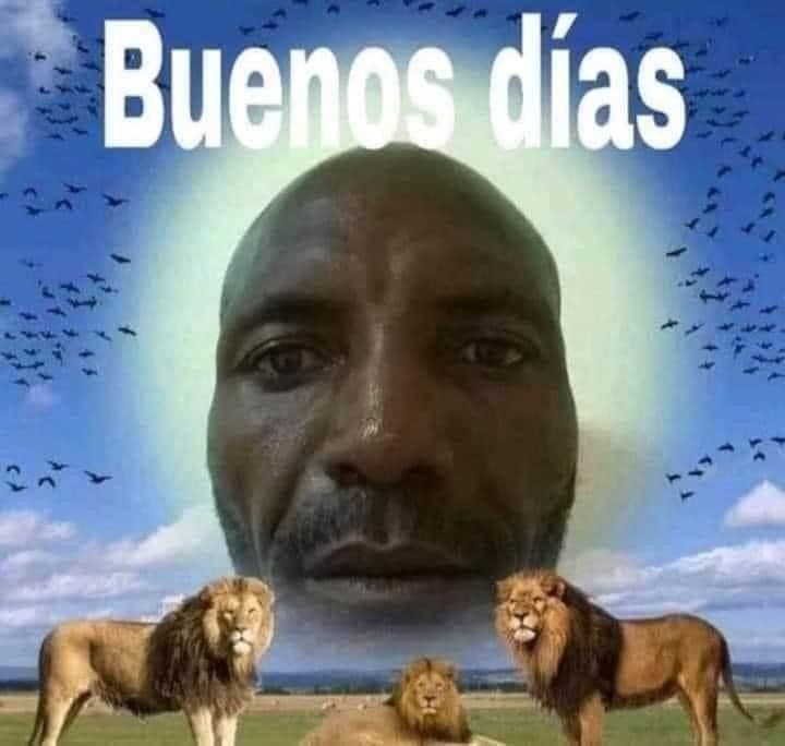 Sono morta salve