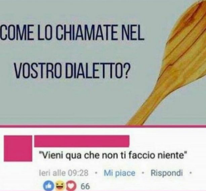 Dalle mie parti si chiama mestolo