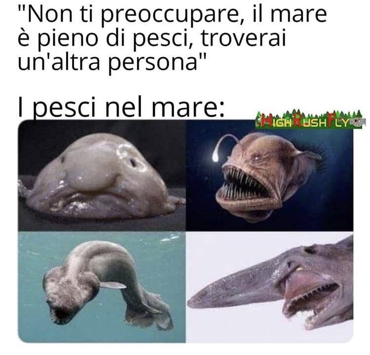 Mai una gioia