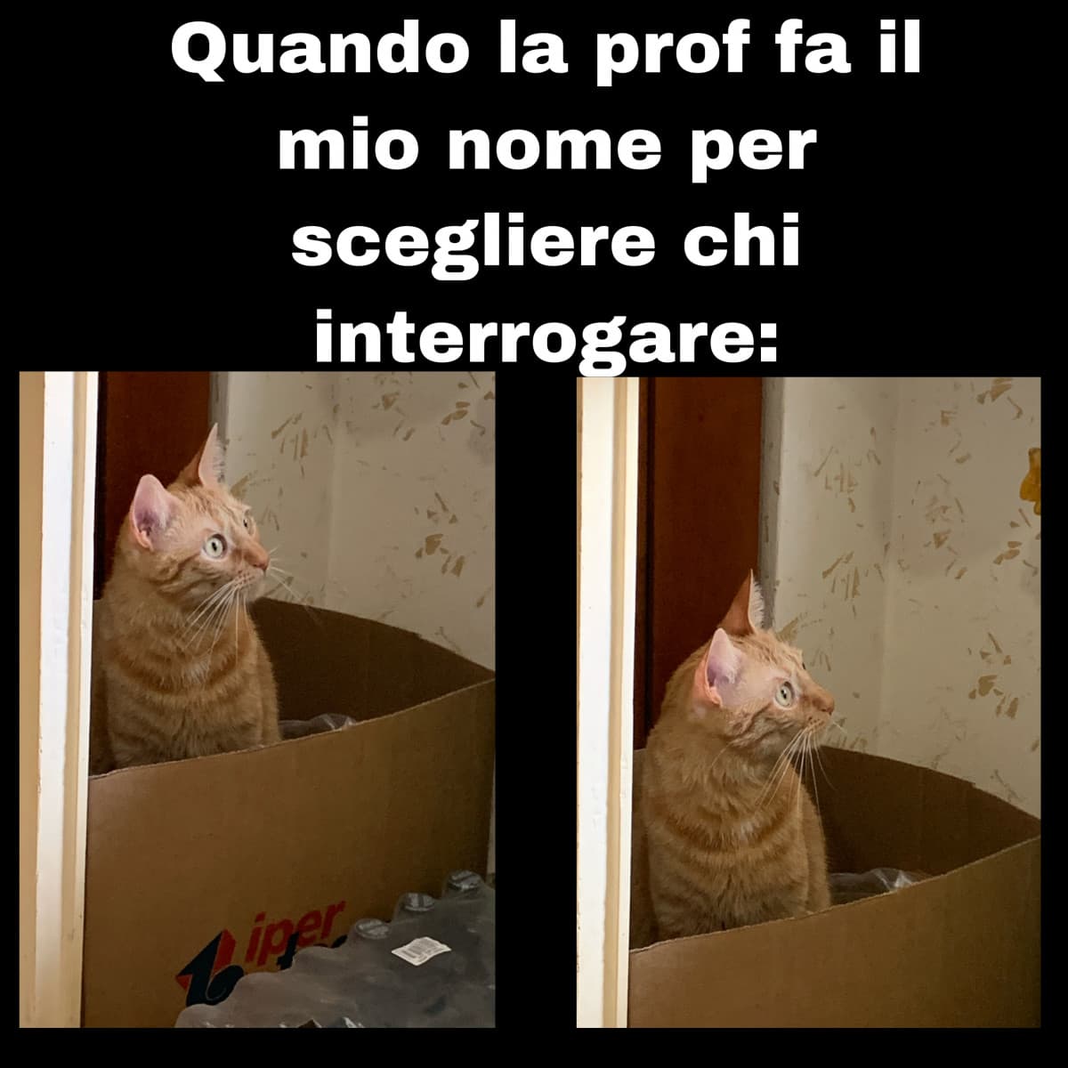 Interrogazioni