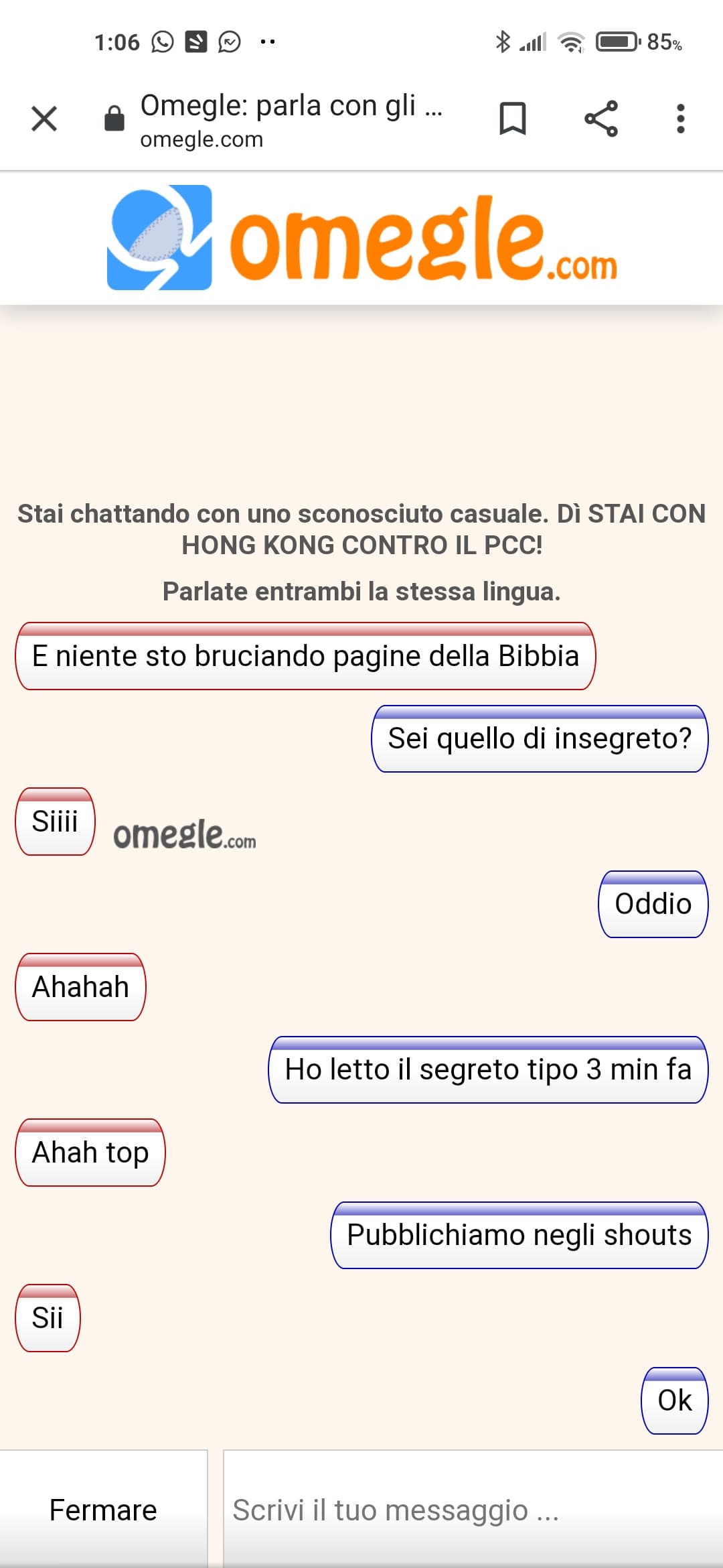 Bella per te che bruci la bibbia 