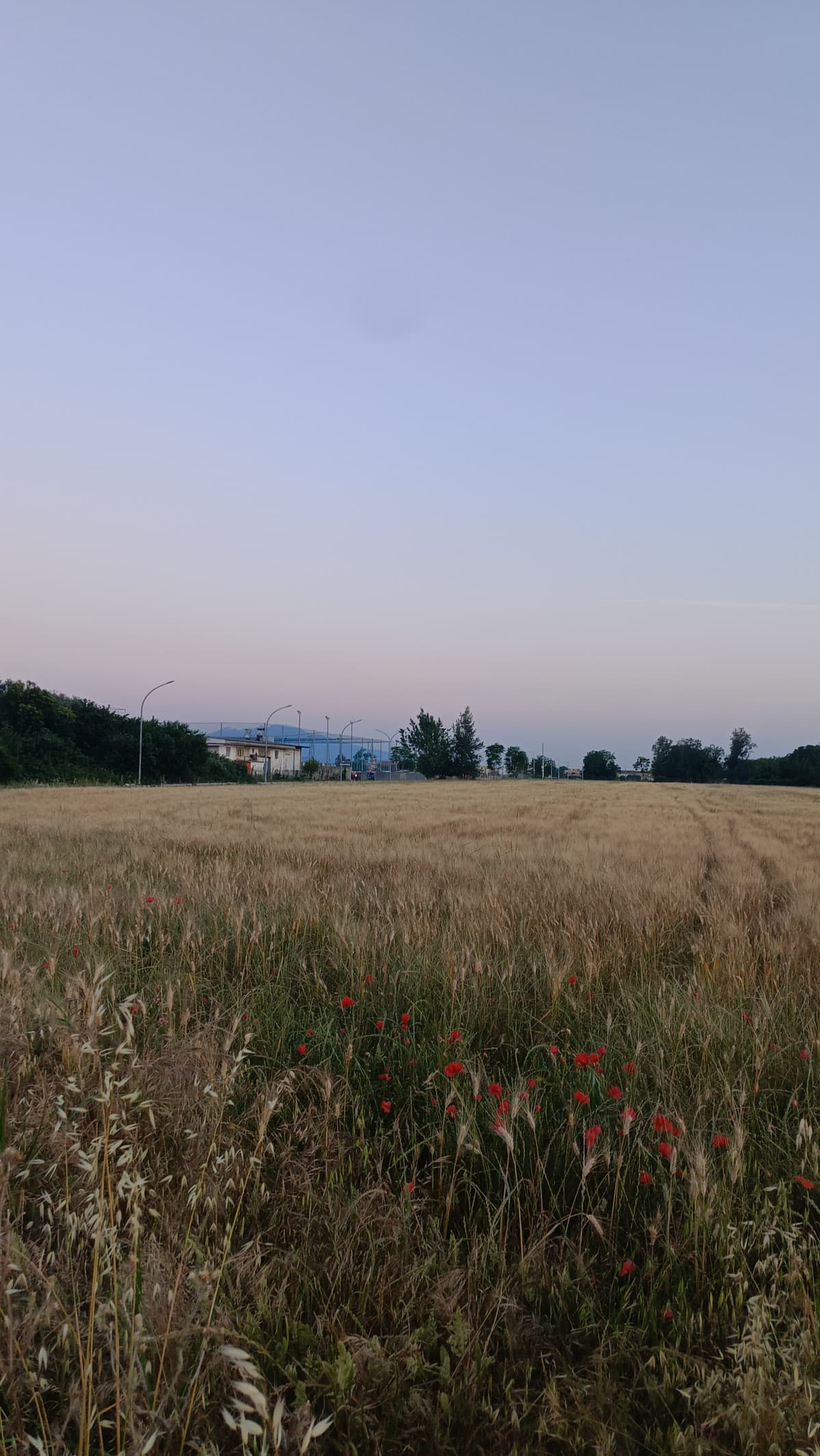 c'è una strana pace