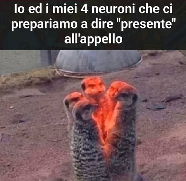 Sto impazzendo aiut