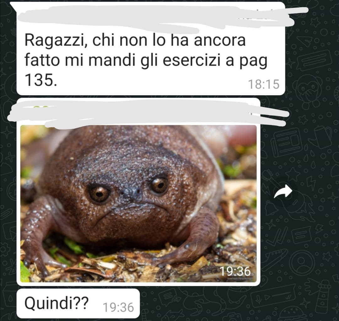 No aiuto io esco del gruppo, ho paura della mia prof 