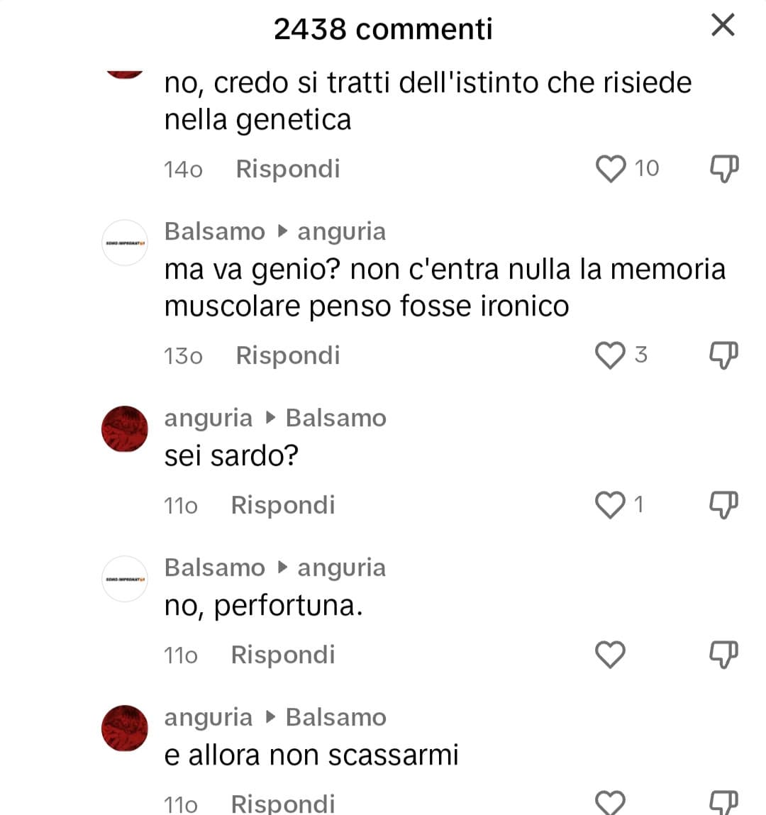 AHAHAHAH COSÌ RANDOM vabbè che pro i miei corregionali 