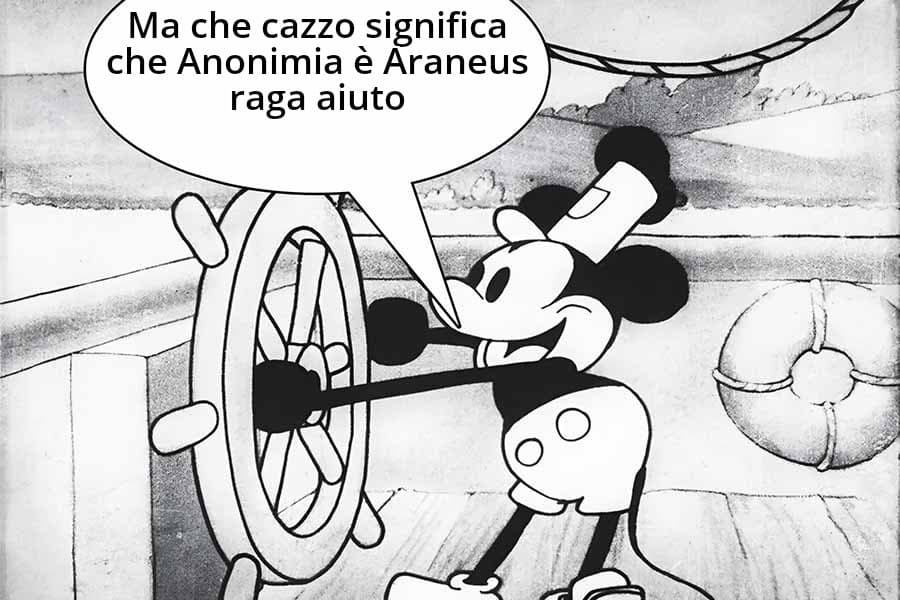 Aiuto raga me lo ricordo Araneus uno dei peggiori con ho discusso, e vi assicuro al 100% che era un uomo