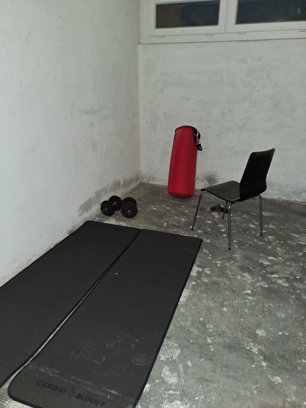 Questione di tempo e trasformerò questa cantina di horror in una vera home gym🤠