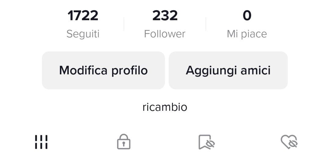 Il mio account tiktok