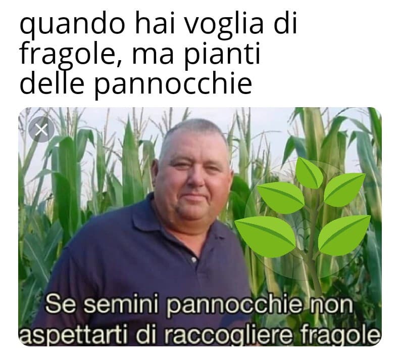 Fa schifo?