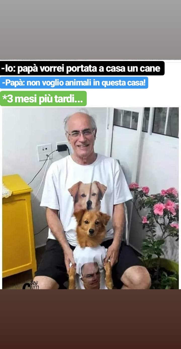 Io amo i cani voi?