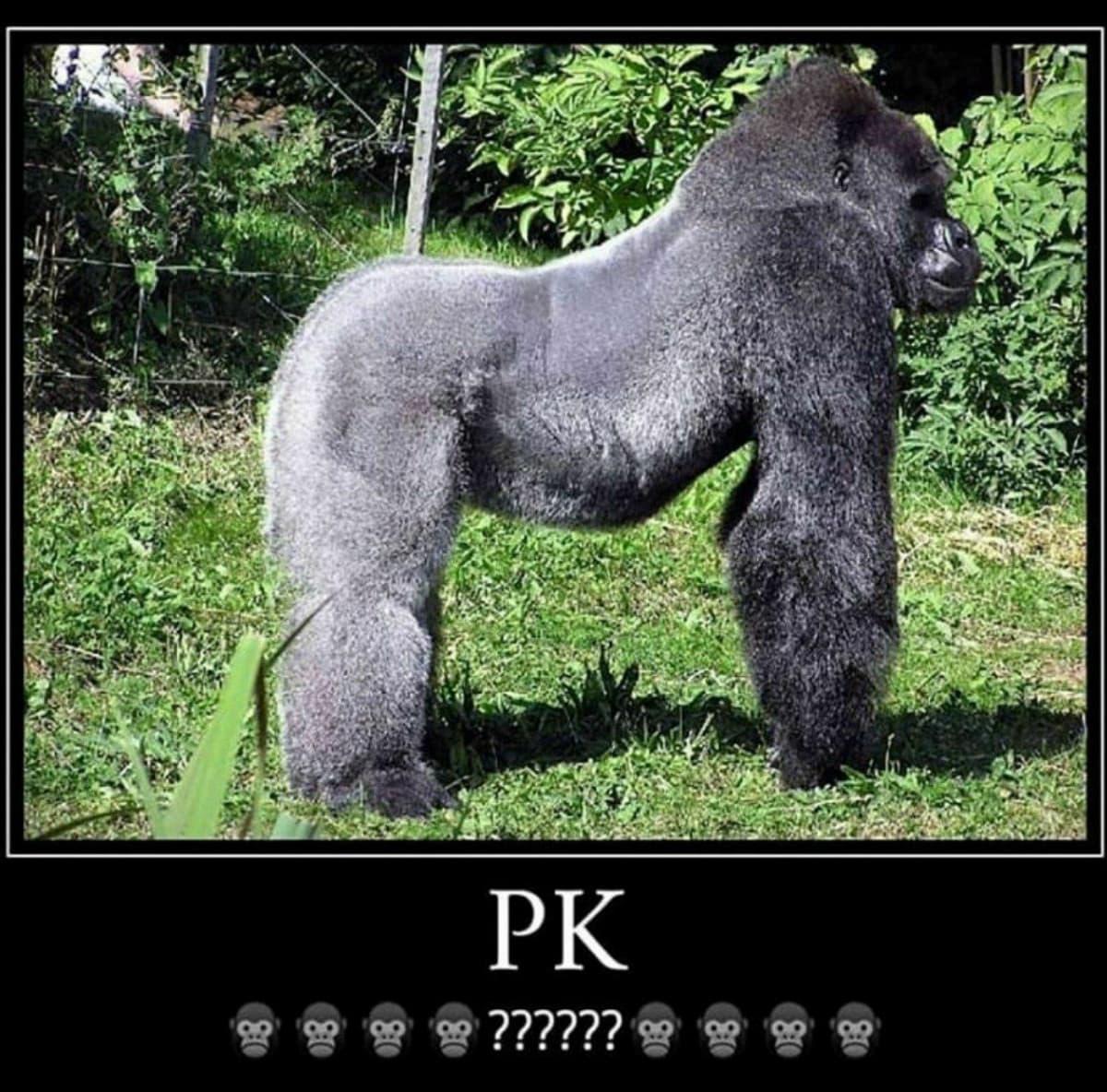 pk