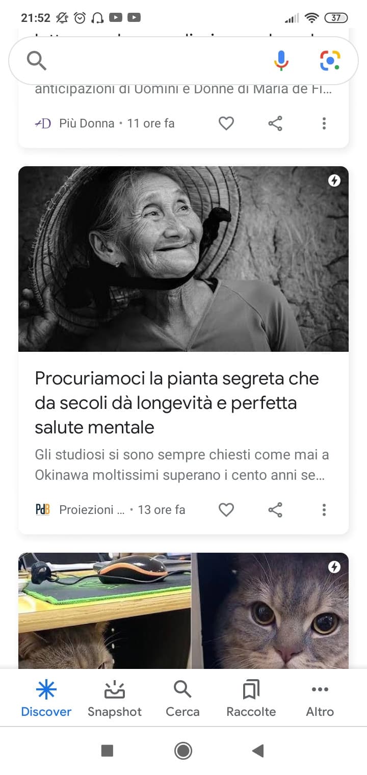 Solo a me sembra che la vecchia abbia pippato? 