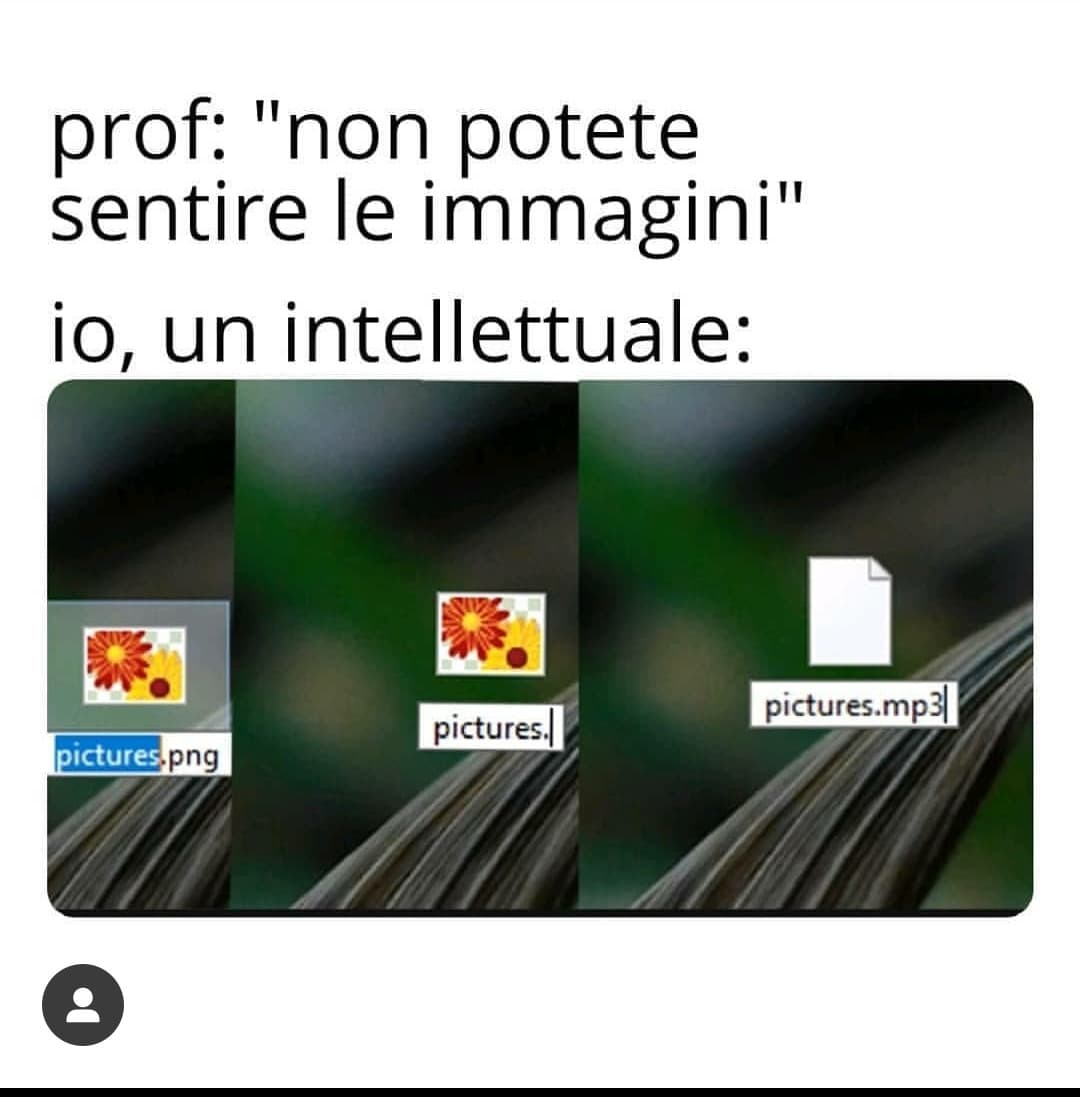 Non fa una piega