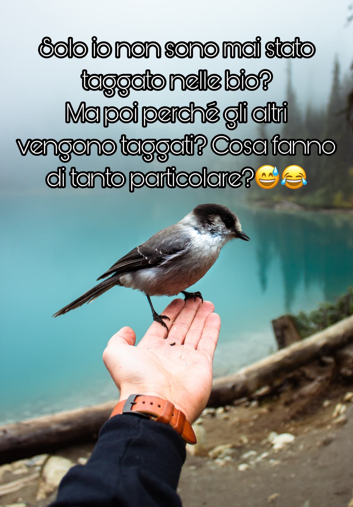 Voi? Io invece ho taggato solo una persona che è sempre stata gentile con me ?