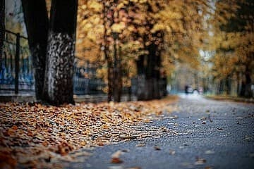 IL NON TANTO CALMO INIZIO DELL'AUTUNNO INSEGRETINO - AUTUMNFIRSTDAY