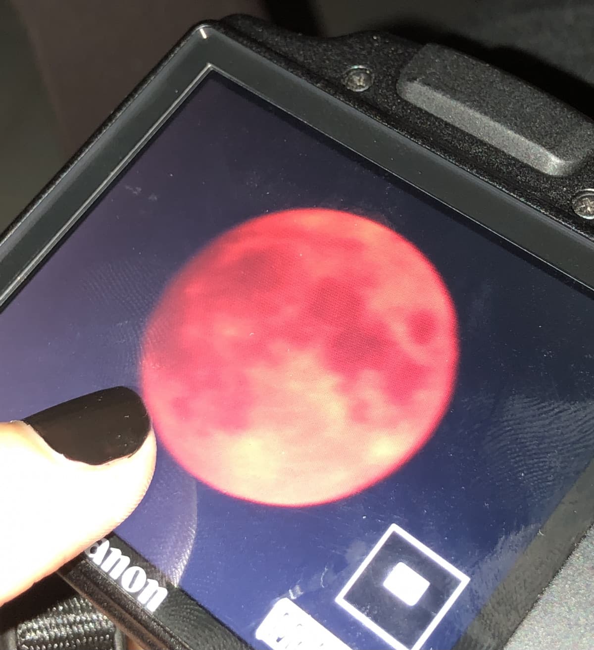 stasera la luna è piena