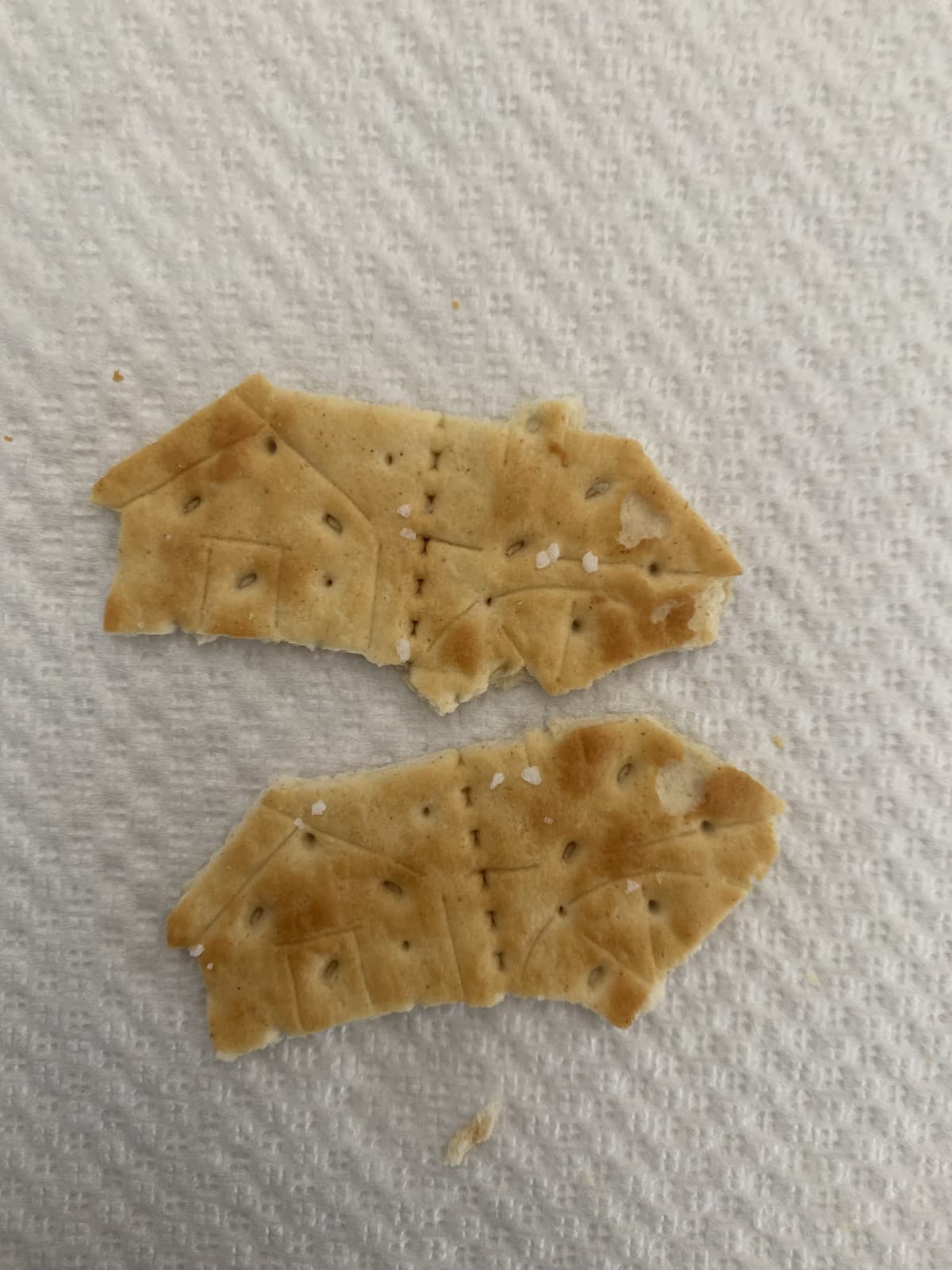 altro che biscotti di squid game, i cracker della mulino bianco sono la vera sfida; sta casetta si scassa sempre.