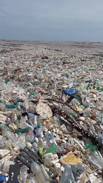 spiagge di Fano, Pesaro Urbino. disgustoso 