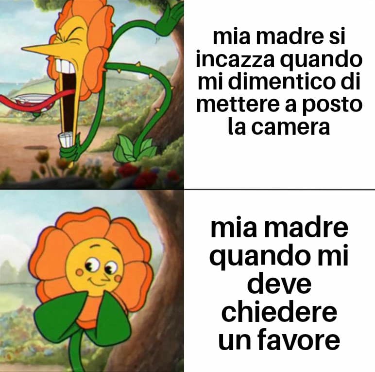 Ahahaha vero??