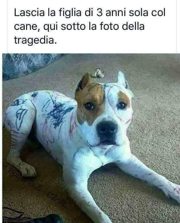 Secondo me voleva farsi un tatuaggio....