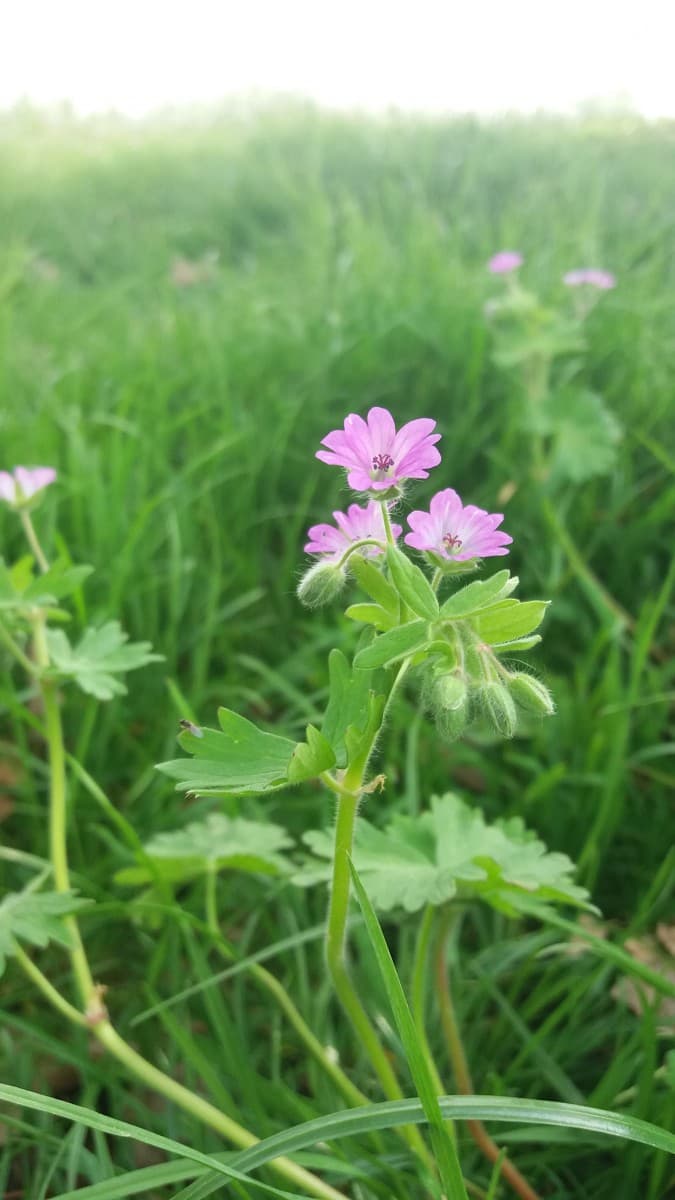 Nella mia scuola ci sarà un concorso di foto e io vorrei partecipare.Mi piacerebbe ricevere un parere sincero sulle foto.Secondo voi vale la pena provare?